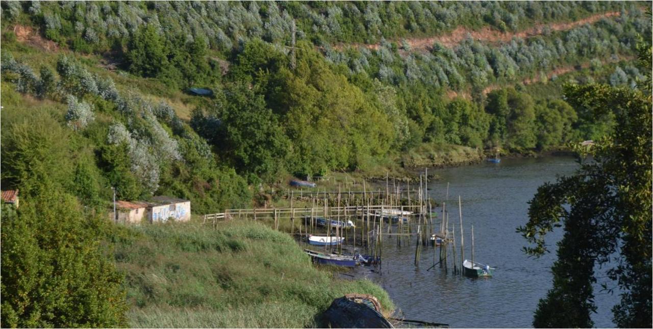 La Quintana del Castillo Soto Del Barco Esterno foto